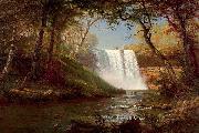 Albert Bierstadt Minnehaha Falls USA oil painting artist